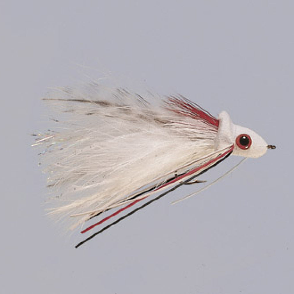 Rainy&#39;s Joom Diver Fly