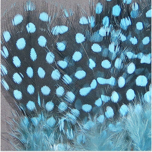 Strung Guinea Feathers