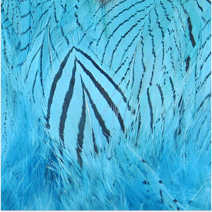 Silver Pheasant Feathers