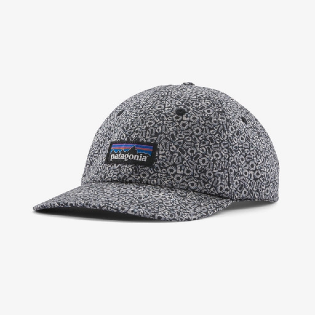 Patagonia P-6 Label Trad Cap