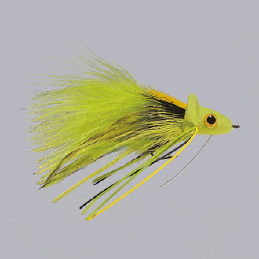 Rainy&#39;s Joom Diver Fly