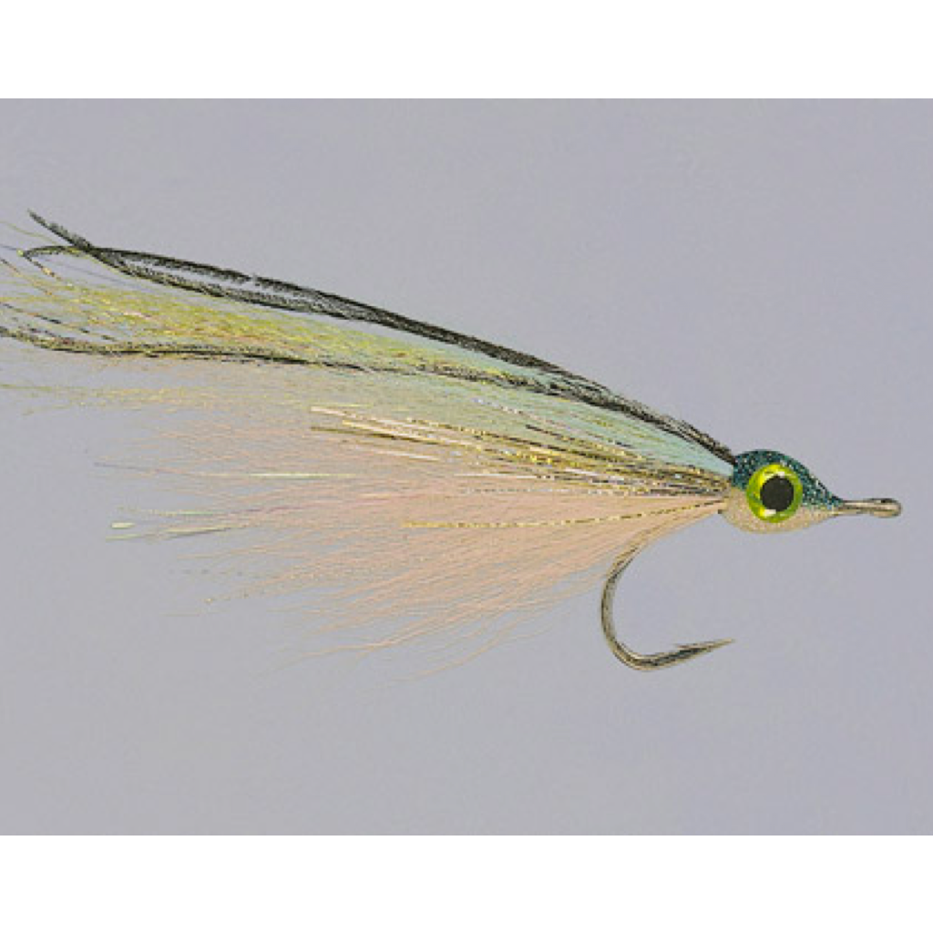 Rainy&#39;s Robrahn&#39;s Bluewater Sardina Fly