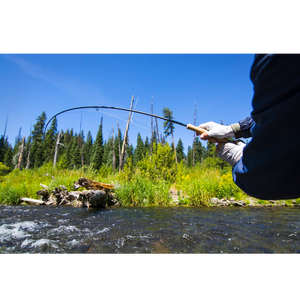 Thomas & Thomas Avantt Fly Rod